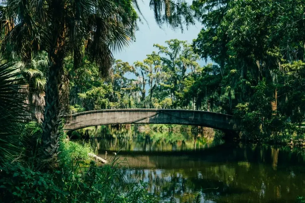 Lafayette, Louisiana: Ein Hauch Frankophonie im Herzen des Cajun Country