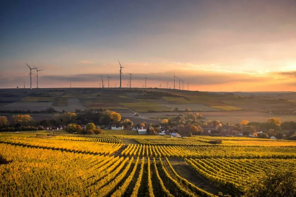 structural shot of wind mills during daytime