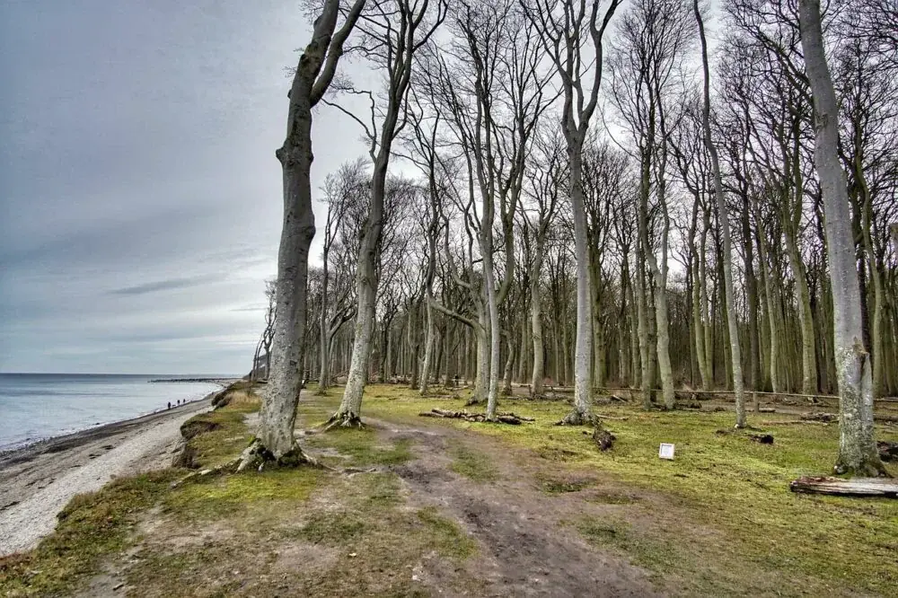 Nienhagen - Ostseebad in Meck-Pomm