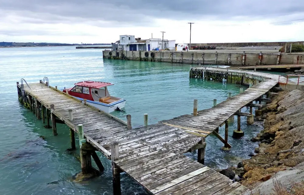 Oamaru entdecken: Viktorianisches Erbe und Pinguine am Pazifik