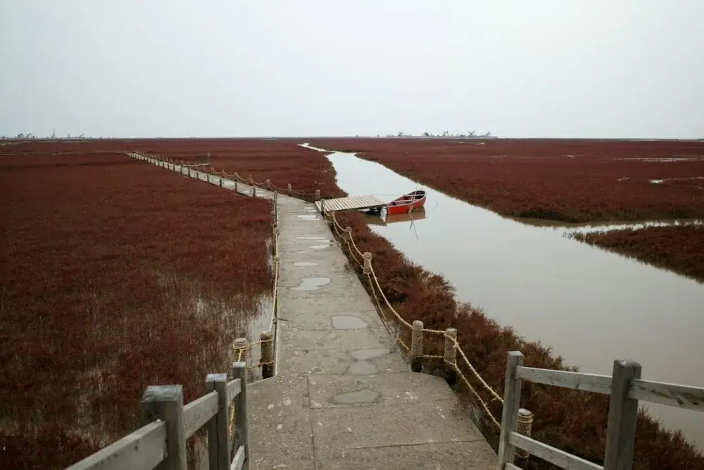 Panjin: Einzigartiger Städtetrip ins Rote Meer der Liaoning-Provinz