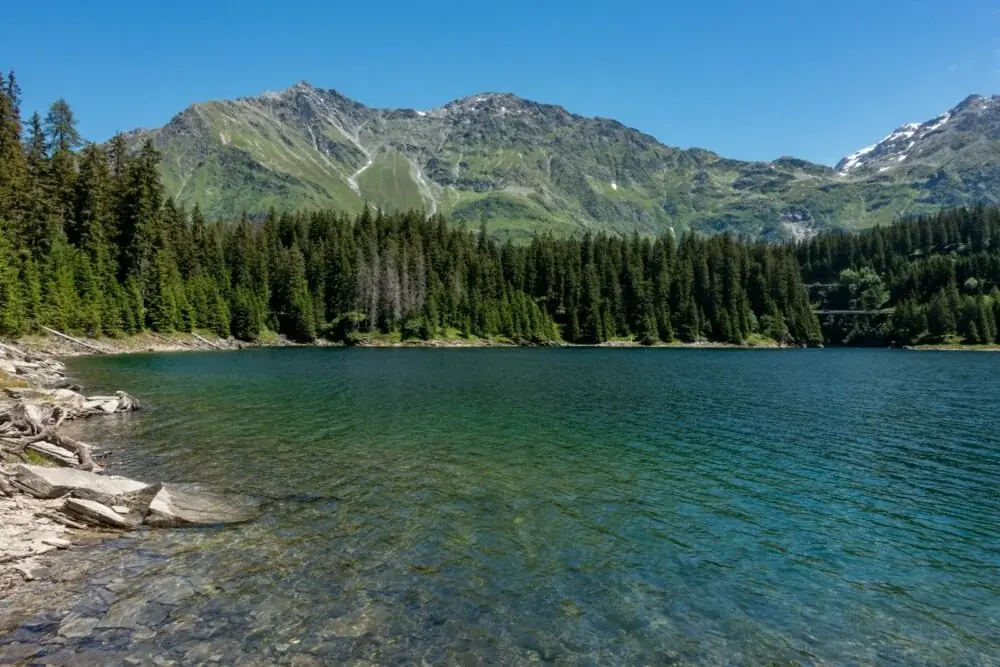 San Bernardino Entdeckungstour: Von der Route 66 zum San Bernardino National Forest