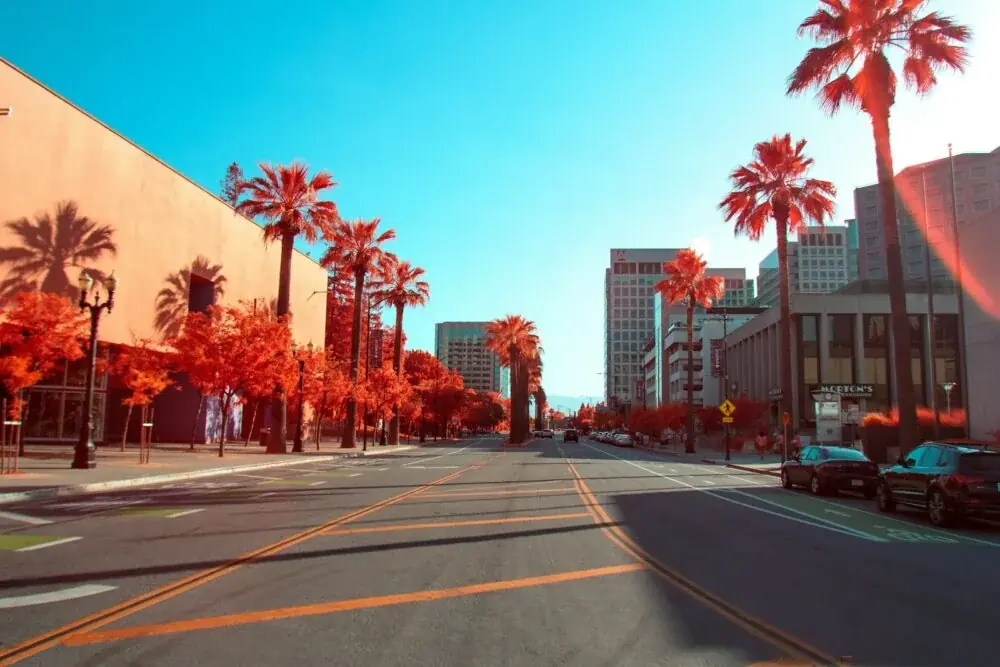San José entdecken: Im Herzen des Silicon Valley