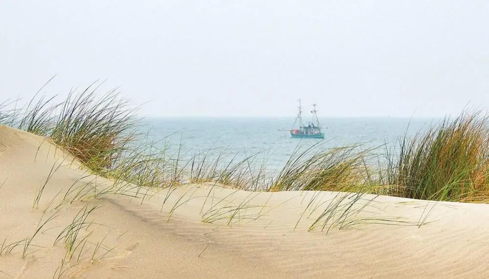 Spiekeroog: Entspannter Inselausflug in die Naturidylle