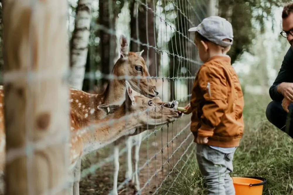 Werribee Open Range Zoo – ein Tierparadies in Australien