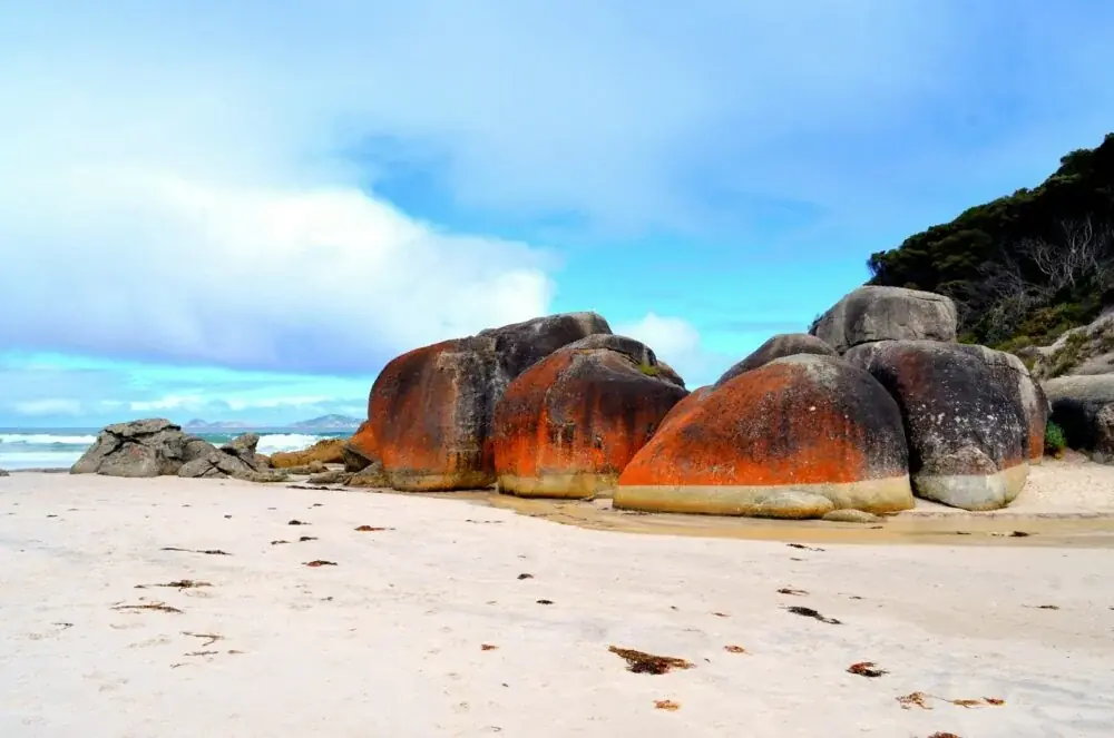 Wilsons Promontory Nationalpark – ein Paradies für Naturliebhaber