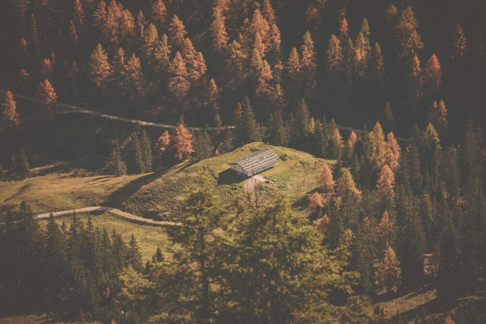 aerial photo of house surrounded by pine trees during daytime